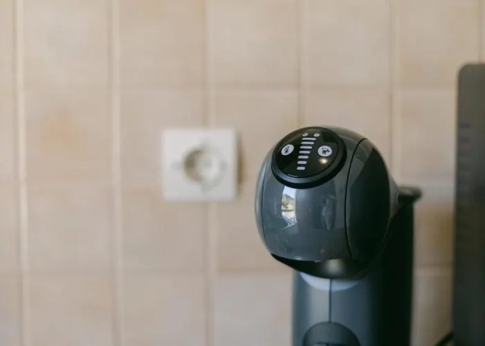 Andimesia Orae Daire *